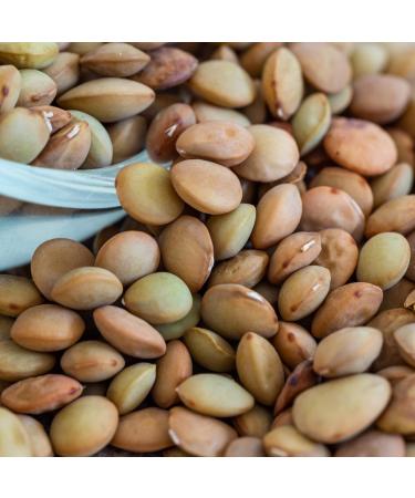 Suntat Oriental Green Lentils from Turkey - 4 x 1 kg | Premium Quality Fresh Healthy eCommerce - Buy Online on GoSupps.com