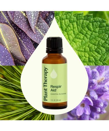 Plant Therapy Respir Aid Essential Oil Blend 30 mL (1 oz) & Germ Fighter Essential Oil Blend 30 mL (1 oz) 100% Pure Undiluted Natural Aromatherapy Great for Diffusing & DIYs - Buy Online on GoSupps.com