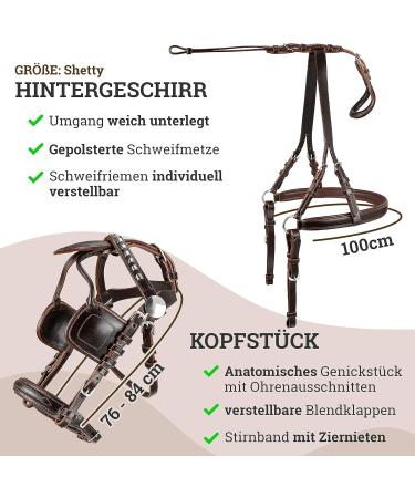 Professional Esposita Carriage Dishes for Shettys Ponies & Horses - Mini Shetty to XL Cold Blood Routing Dishes - Buy Online on GoSupps.com