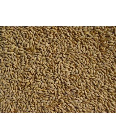 Joseph's Grainery Unhulled Barley 18 Lbs - Whole Grain, Non-GMO, Kosher Certified - Buy Online on GoSupps.com