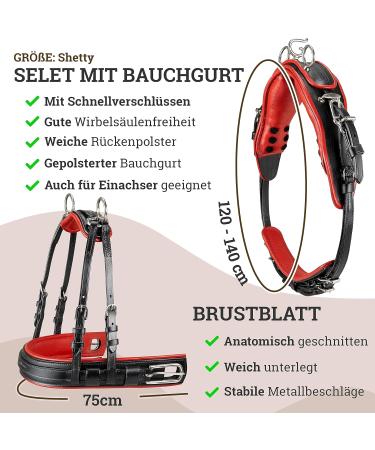 Esposita Professional Carriage Dishes for Shetland Pony & Horse | Mini to XL Sizes in Black & Red - Buy Online on GoSupps.com