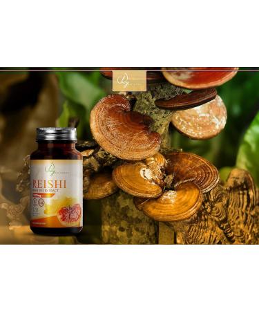 HN Reishi Capsules | High Potency 2100mg Reishi Mushrooms Extract (15:1) per Dose - 120 Reishi Capsules | Non-GMO Gluten Free & Allergen Free | Made in the UK - Buy Online on GoSupps.com