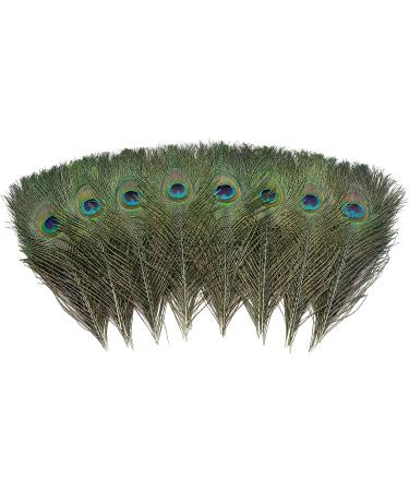 12 PCS Real Natural Peacock Eye Feathers 10-12 inch - DIY Craft & Wedding Decor - Buy Online on GoSupps.com