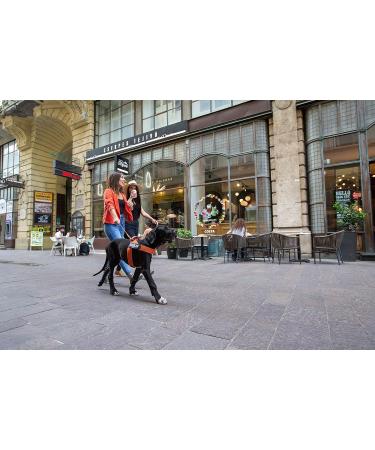 IDC Color & Gray Caught Leash - 20mm x 1m (Pack of 2) - Orange & Gray - Durable & Stylish for Dogs - International Shipping Available - Buy Online on GoSupps.com
