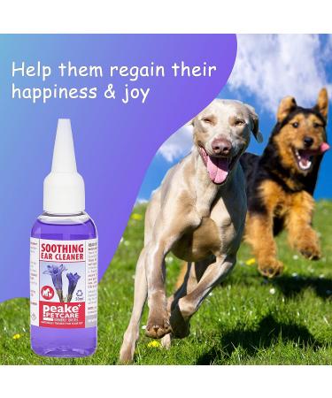 Quistel Dog Ear Cleaner Solution - Soothing Canaural Ear Drops - Dog Ear Drops for Infection Wax Dirt Yeast and Mites - 50ml - Buy Online on GoSupps.com