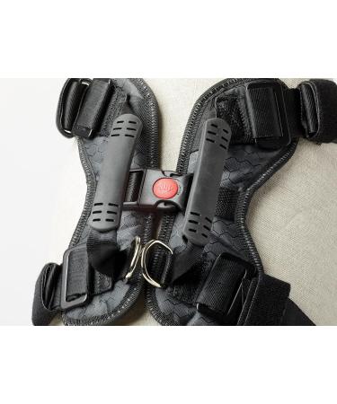DogMaster 2.0 Dog Safety Belt - Black Size S | Secure & Adjustable Pet Seat Belt for Travel - Buy Online on GoSupps.com