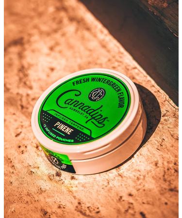 Cannadips Terpene Infused Nicotine-Free Dip Pouches - 4-Can Variety Pack | Made In USA - Buy Online on GoSupps.com