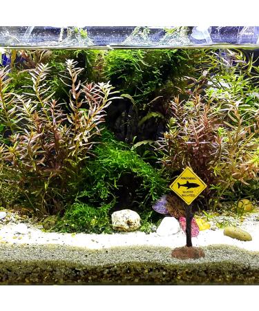 Funny Harz Hai-Warnschild Aquarium Decoration | Underwater Fish Tank Ornament | Unique C-yellow Decor for Aquatic Landscapes - Buy Online on GoSupps.com