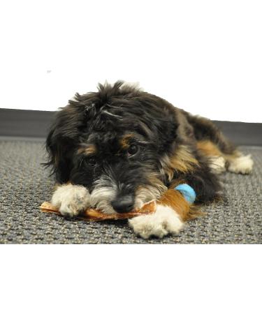 Downtown Pet Supply Bully Sticks for Dogs Free Range Dog Chews 6" 30 Pack Odor Free - Buy Online on GoSupps.com