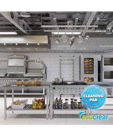 Ecoclear Stainless Steel Cleaning Sponge - 10 Pack | Professional Antibacterial & Reusable Cleaner for Shiny Surfaces - Buy Online on GoSupps.com