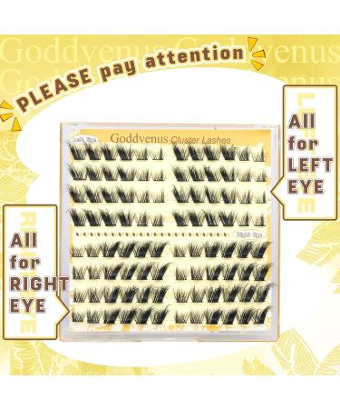 Paired Lashes Extension Kit Natural D Curl Russian Fox Eye Lash Individual Cluster Kit Wispy DIY Cluster Eyelash Extensions Kit with 96pcs Lash Clusters Bond and Seal Waterproof by Goddvenus K-foxy eye lash cluster 8 pairs - Buy Online on GoSupps.com