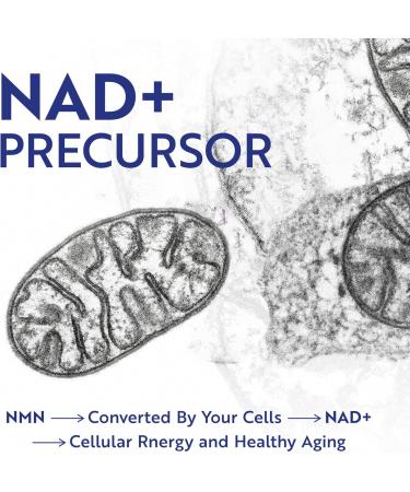 NMN Supplement 500mg | 99% Pure | NAD+ Precursor for Cellular Energy Longevity Repair and Healthy Aging Support | Third-Party Tested & Non-GMO | Nicotinamide Mononucleotide | 60 NMN Capsules - Buy Online on GoSupps.com