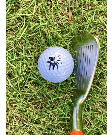 Bird Dog Alpha Premium Golf Balls - One Dozen | High-Quality Golf Balls - Buy Online on GoSupps.com