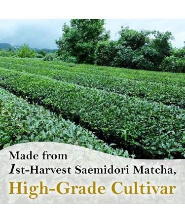 YAMASAN KYOTO UJI Japanese Pure Matcha Paste Handy for Baking and Cooking Easy to Add Matcha Color and Flavor No Additives Gluten-Free Vegan Made in Japan 100g(3.52oz) - Buy Online on GoSupps.com
