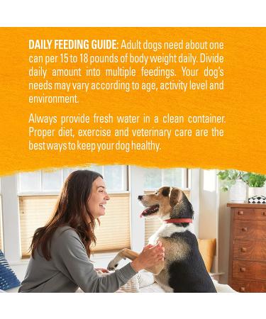 Purina Beyond Grain Free Wet Dog Food - Chicken, Carrot & Pea - 12 Cans (13 oz) - Natural Adult Entree - Buy Online on GoSupps.com