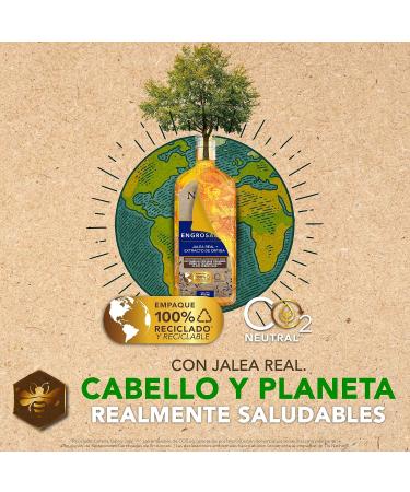 Tio Nacho Anti-Caida Chamomile Shampoo | Strengthening & Clarifying | International Shipping Available - Buy Online on GoSupps.com