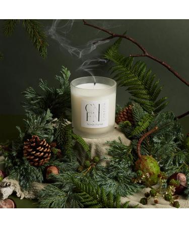 CNFN Christmas Tree Scented Candle - 7oz Coconut Wax Winter Candle for Home - Nordic Forest Fragrance - 40 Hrs Burn Time - Cozy Season Decor - Buy Online on GoSupps.com