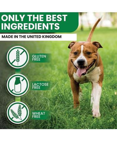 Tummy Relief for Dogs - Fast-Acting Diarrhea Treatment & Stomach Settler - Gut Health Supplement - Liquid Medicine for Upset Stomach - 250ml - Buy Online on GoSupps.com