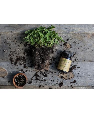 ReThinkOil WildCaps - Organic Oregano Oil Capsules - Non-GMO & Vegetarian - Gluten & Soy Free - Expiring July 2024 - Buy Online on GoSupps.com