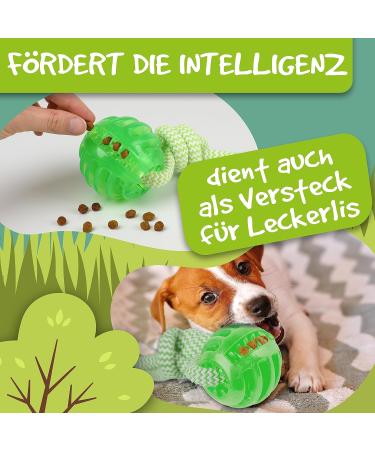 Rootnoot Neon Green Throwing Ball with Rope for Dogs | Eco-Friendly Fetch Toy | Track & Train Your Dog with Stable Design - Buy Online on GoSupps.com