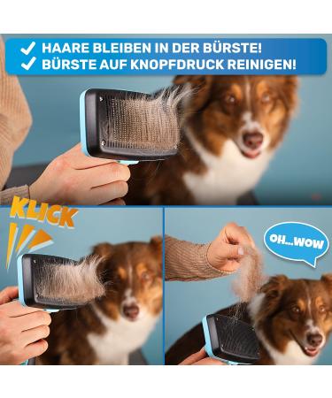 Bluepet Dog & Cat Brush for Long-Haired Pets - Undercoat & Knot Dematter Tool - 2023 Model with Cleaning Button - Ideal for Daily Use - Buy Online on GoSupps.com