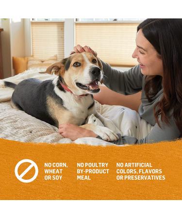 Purina Beyond Grain Free Wet Dog Food in Gravy - Chicken & Sweet Potato, 12.5 oz Cans (12-Pack) - Buy Online on GoSupps.com