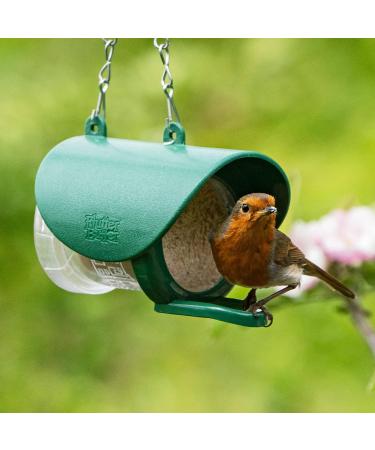 Peanut Butter for Birds - Jacobi Jayne Flutter Butter EcoRefills - Buggy Flavour Wild Bird Food - Ultra-Convenient Eco-Friendly Bird Feed - Pack of 12 Refills Buggy Buggy 140 g (Pack of 12) - Buy Online on GoSupps.com