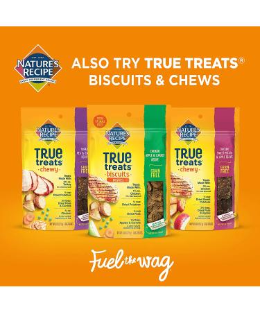 Nature's Recipe Grain Free Wet Dog Food Chicken Variety Pack 2.75 oz x 24 Cups - Buy Online on GoSupps.com