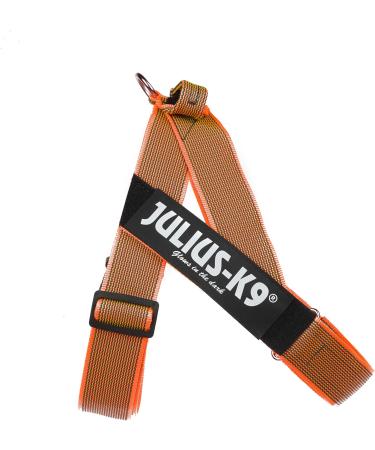 Julius-K9 Color & Gray Belt Harness L/1 - Orange-Grey | Premium International Shipping - Buy Online on GoSupps.com