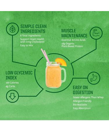 Sunwarrior Protein Classic - Plant-Based Protein Powder | 1 Piece | Best for Smoothies & Shakes - International Shipping Available - Buy Online on GoSupps.com