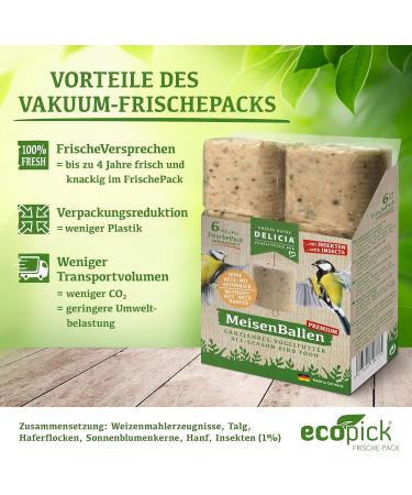 DELICIA Premium Insect Bird Balls - 6 Pack for Garden & Wild Birds | Meisen Dumplings with Hangers - High-Quality Bird Feed - Buy Online on GoSupps.com