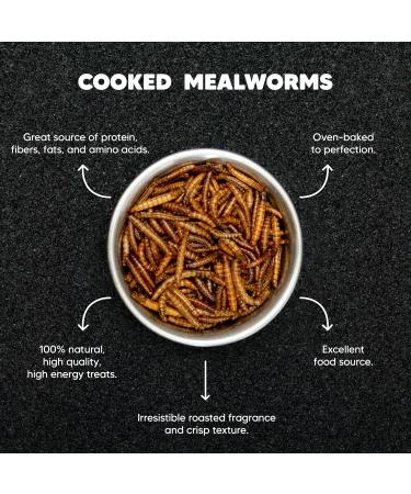 11lb Dried Mealworms by Premium Feeders Approx 175000+ Dried Mealworms - Chicken & Bird Feed - Meal Worms Treats - High Protein Mealworm for Chickens Wild Birds Hens & Small Animals - 5KG - Buy Online on GoSupps.com