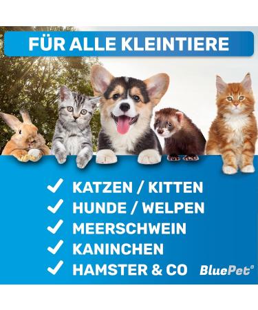 Bluepet Cat & Small Dog Brush | Gentle Undercoat Removal & Daily Fur Care - Mini Pink Rabbit Brush - Buy Online on GoSupps.com