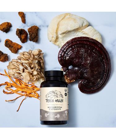 TERRA ORIGIN Healthy Mushroom Complex Supplement | 90 Capsules | Reishi Lions Mane Changa Cordyceps Maitake | Immune & Nootropic Brain Support | Certified USDA Organic Non GMO Vegan - Buy Online on GoSupps.com