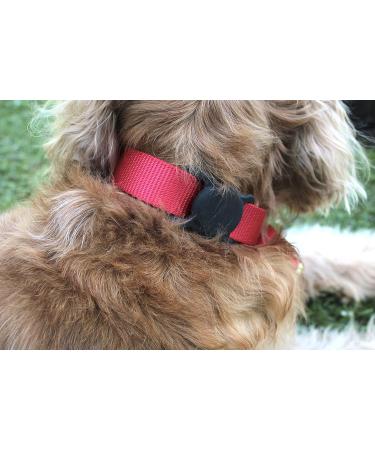 Airtag Case for Apple Air Tag Holder Pet Tracker for Cats for Dog Collars GPS for Airtag Cat Collar Airtag Holder for Bags Luggage Rucksacks Travel Track Valuable Items. Black - Buy Online on GoSupps.com