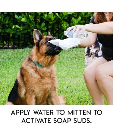 ScrubbyPet No Rinse Pet Wipes - 5-Count Mittens for Easy Pet Bathing, Grooming, and Washing - Buy Online on GoSupps.com