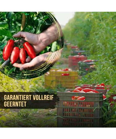 Buy Delicret San Marzano Tomatoes 12x400g - Whole Peeled in Juice | Free Grandma Recipes | Authentic Italian Flavor - Buy Online on GoSupps.com