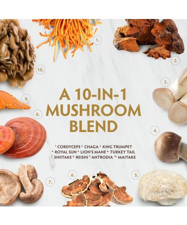 TRIBE ORGANICS Mushroom Golden Blend Vegan Capsules Supplement - Adaptogenic Mushrooms Powder Immune Support Supplement - 10-in-1 Mushrooms for Immunity Support & Brain Health - 90 Count 30 Servings - Buy Online on GoSupps.com