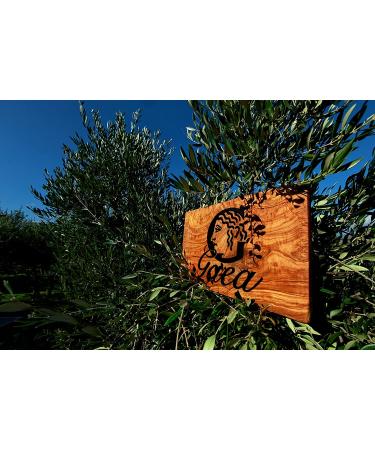Gaea Pitted Mixed Greek Olives - Green, Black & Brunettes (5.3 oz) - Buy Online on GoSupps.com