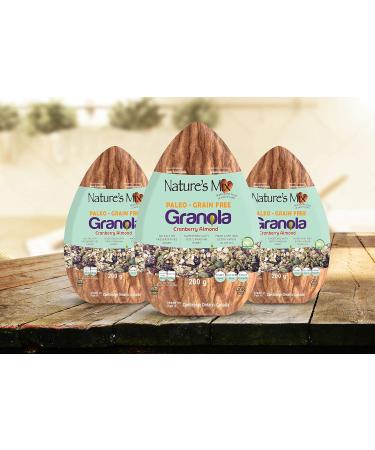 Nature's Mix Paleo Grain Free Granola with No Preservatives added Paleo Grain Free Granola 200 g - Buy Online on GoSupps.com
