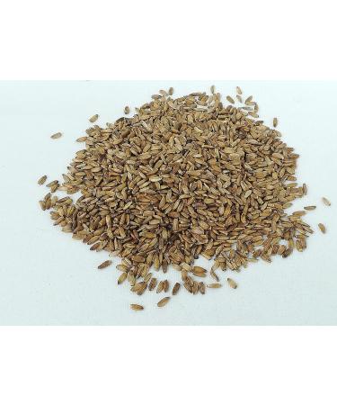 IGART Milk Thistle Seeds 1.5kg | Milk Thistle Natural | Tea | Milk Thistle Tea | Silybum Marianum | Herbal Tea 1.5 kg (Pack of 1) - Buy Online on GoSupps.com