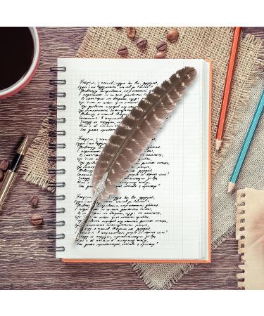 Outuxed 15pcs Natural Turkey Feathers for Crafts - 10-12 Inches - DIY Home Wedding Party Decoration - Buy Online on GoSupps.com