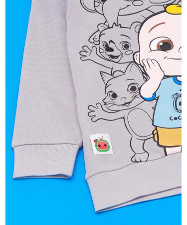 CoComelon Kids Sweatshirt | Ello Pepe Boba Kiki Characters | Nursery Rhyme Songs Jumper 2-3 Years Grey - Buy Online on GoSupps.com