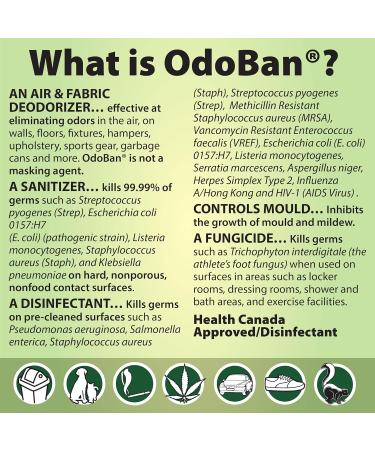 OdoBan Fresh Linen Disinfectant and Odor Eliminator Fabric & Air Freshener Pet Odour Remover Multi-Purpose Cleaner Concentrate 1 Gal. (3.79L) - Buy Online on GoSupps.com