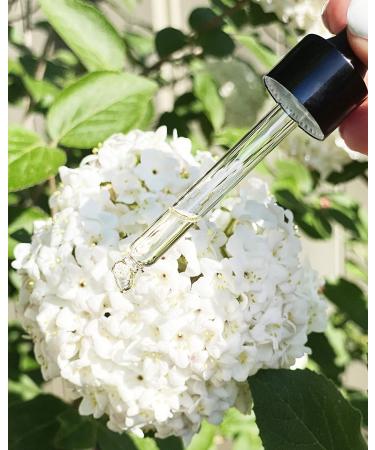 Sahajan Beauty Oil | Anti-Aging Facial Serum for Wrinkles & Fine Lines | Hydrating Skin Moisturizer with Vitamins A B C D & Moringa | 30ml - Buy Online on GoSupps.com