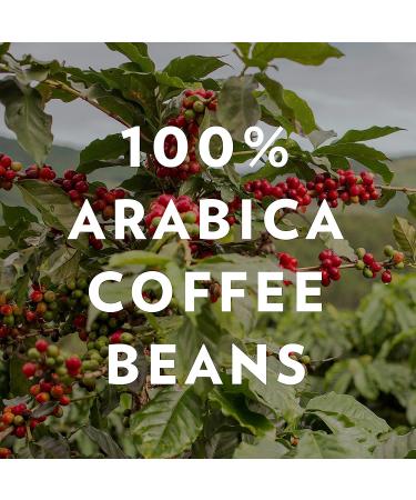 Community Coffee Pecan Praline Light Roast Ground Coffee 340g (12 OZ) - Buy Online on GoSupps.com