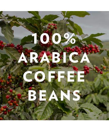 Community Coffee Signature Blend Dark Roast Ground Coffee 64oz (2lb Pack of 2) - Buy Online on GoSupps.com