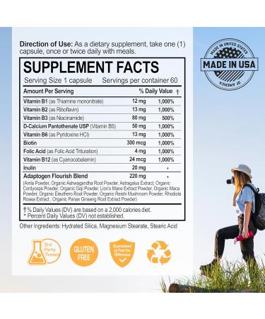 NANOWELL B Complex Premium(12BOXES) - Full Spectrum of B Vitamins for Energy Heart & Immune Support - B-Complex Supplement with Adaptogens - 60 Capsules 60-Day Supply X12 - Buy Online on GoSupps.com