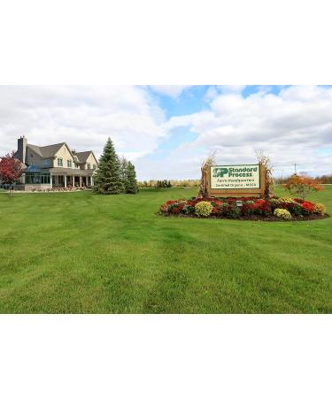 Standard Process USF Ointment - Whole Food Moisturizer for Dry Hands & Skin - 1.75 oz - Buy Online on GoSupps.com