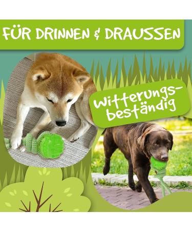 Rootnoot Neon Green Throwing Ball with Rope for Dogs | Eco-Friendly Fetch Toy | Track & Train Your Dog with Stable Design - Buy Online on GoSupps.com